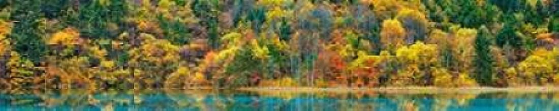Lake and forest in autumn China Canvas Art - Frank Krahmer (8 x 24)