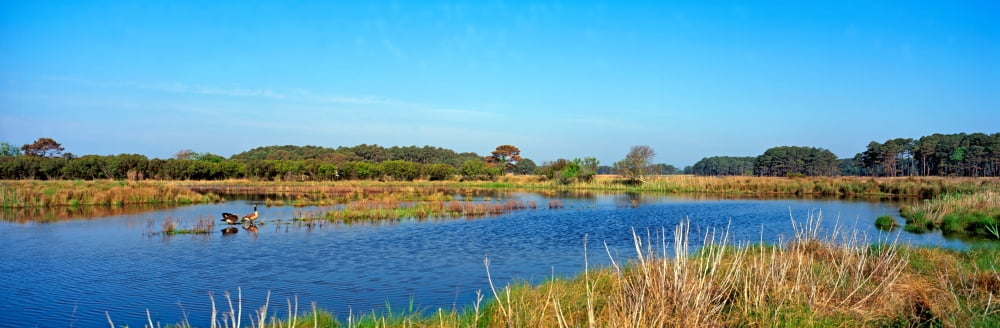 Lake at Chincoteague National Wildlife Reserve Chincoteague Island Virginia USA Canvas Art - Panoramic Images (12 x 36)
