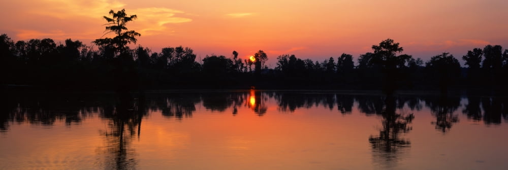 Lake at sunset Horseshoe Lake Conservation Area Illinois USA Canvas Art - Panoramic Images (36 x 12)