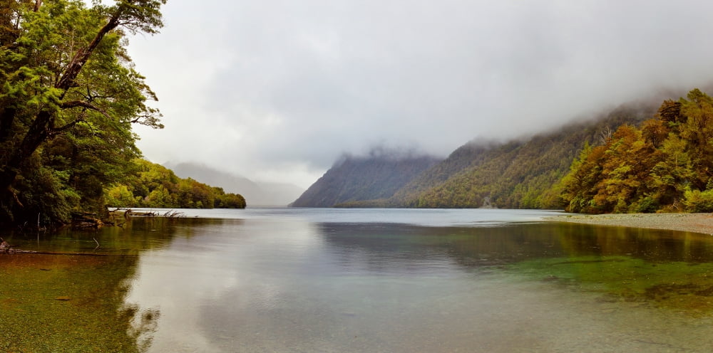 Lake during fog Lake Fergus Fiordland National Park South Island New Zealand Canvas Art - Panoramic Images (36 x 12)