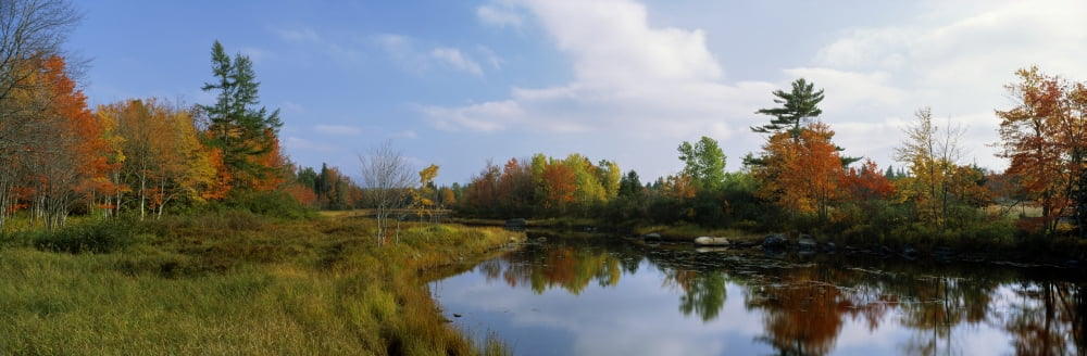 Lake in a forest Mount Desert Island Hancock County Maine USA Canvas Art - Panoramic Images (6 x 18)