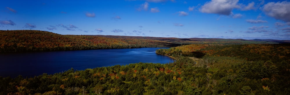 Lake in a forest Rock Lake Algonquin Provincial Park Ontario Canada Canvas Art - Panoramic Images (36 x 12)