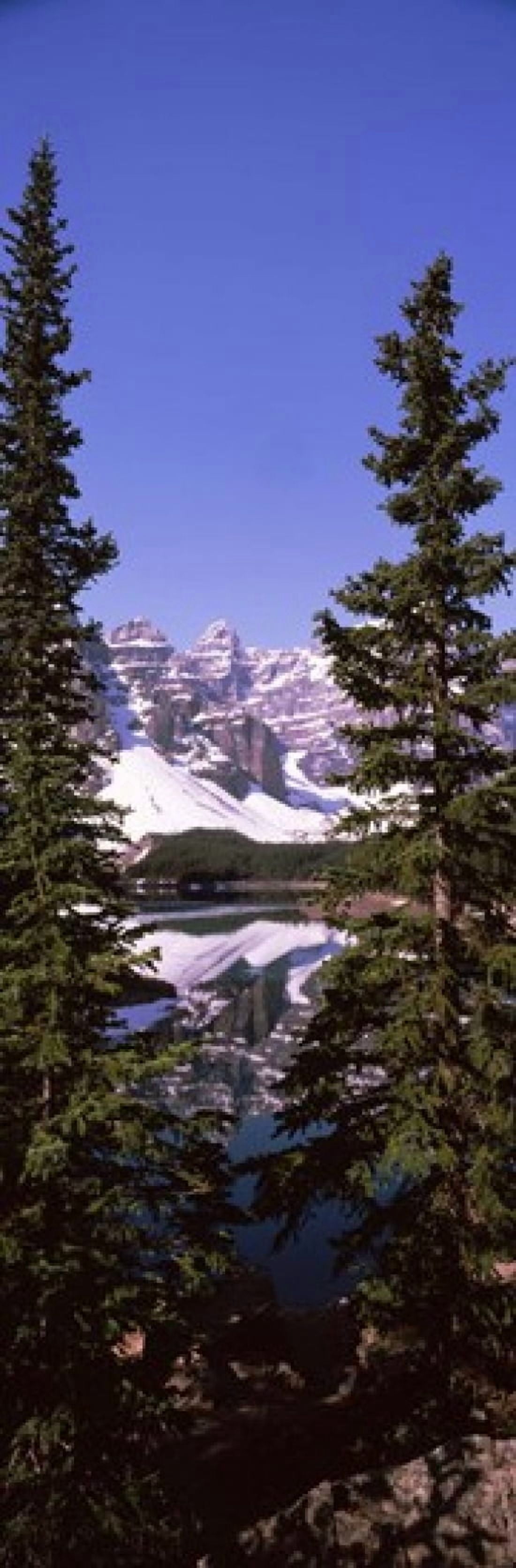 Lake in front of mountains Banff Alberta Canada Canvas Art - Panoramic Images (36 x 12)