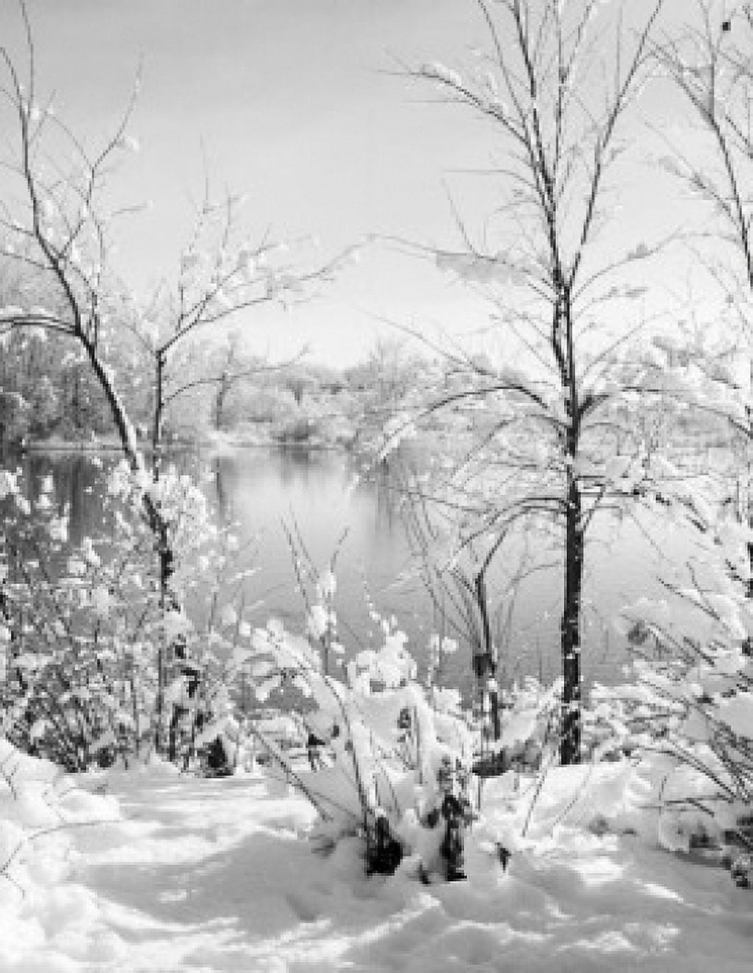 Lake in winter Canvas Art - (24 x 36)