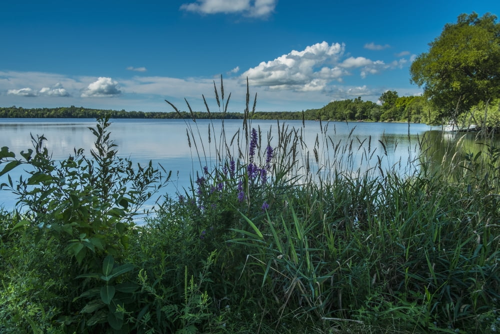 Lake on a mountain Prince Edward County Ontario Canada Canvas Art - Jacques Laurent Design Pics (19 x 12)