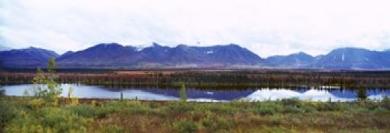 Lake with a mountain range in the background Mt McKinley Denali National Park Anchorage Alaska USA Canvas Art - Panoramic Images (36 x 13)