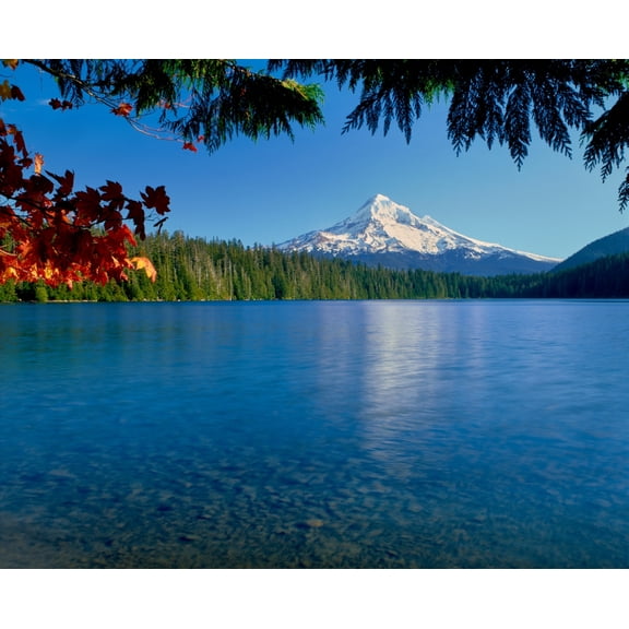 Lake with mountain in the background  Mt Hood  Lost Lake  Mt Hood National Forest  Hood River County  Oregon  USA Print