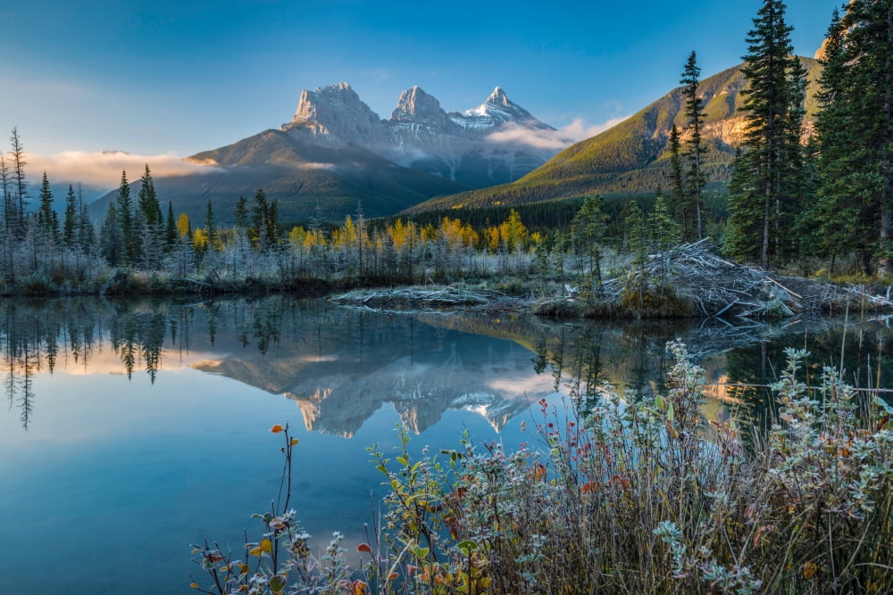 Lake with mountains in background Beaverlodge Three Sisters Canmore Alberta Canada Canvas Art - Panoramic Images (18 x 24)