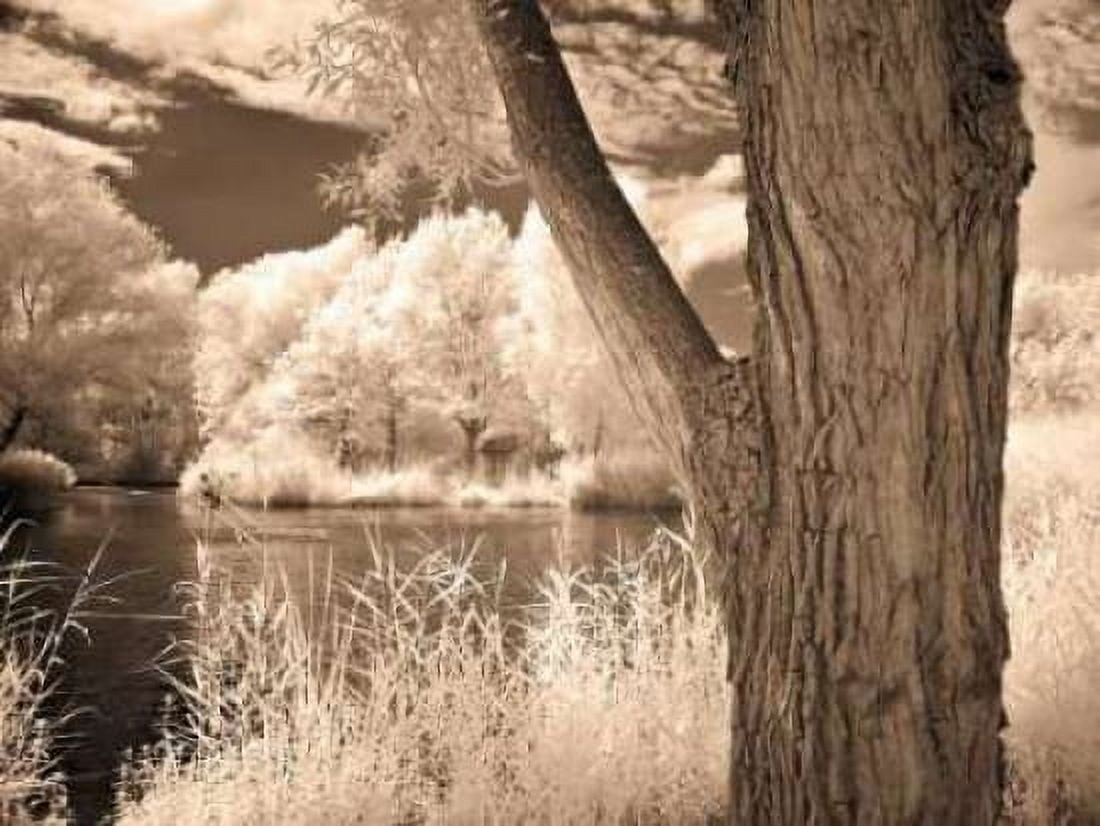 Lakefront View II Canvas Art - Ily Szilagyi (18 x 24)