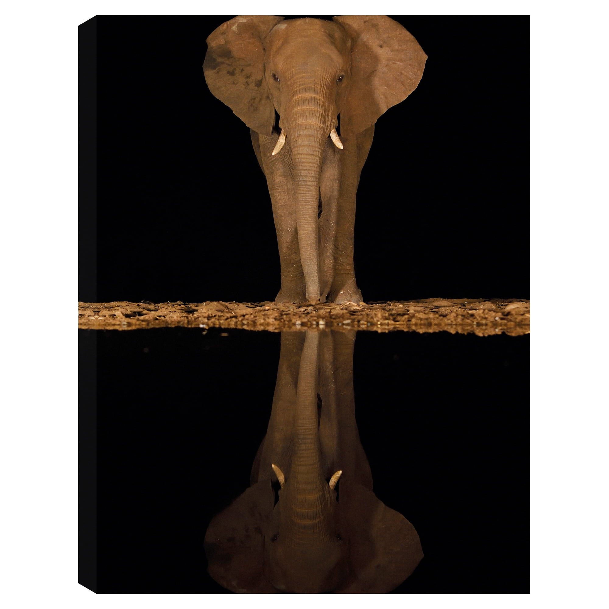 Lakeside Elephant by Staffan Widstrand Canvas Art Print