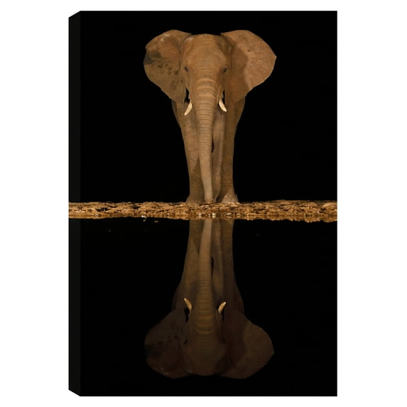 Lakeside Elephant by Staffan Widstrand Canvas Art Print