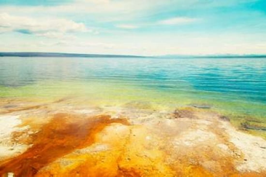 Lakeside Runoff Canvas Art - Roberta Murray (24 x 36)