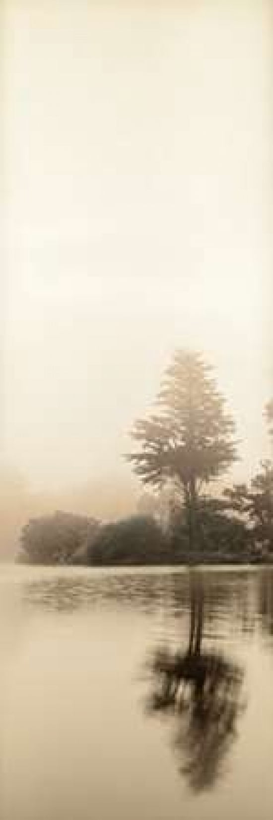 Lakeside Tree - 1 Canvas Art - Alan Blaustein (8 x 24)
