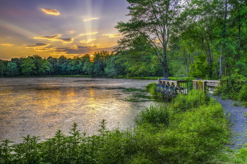 Lakeside sunset Bushkill Pennsylvania United States of America Canvas Art - F M Kearney Design Pics (36 x 24)