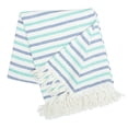thumbnail image 1 of Lakeview Stripe Accent Throw Blanket, 1 of 4