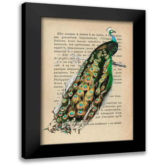 Lamanche, Stef 14x18 Black Modern Framed Museum Art Print Titled - Indian peafowl- After DOrbigny