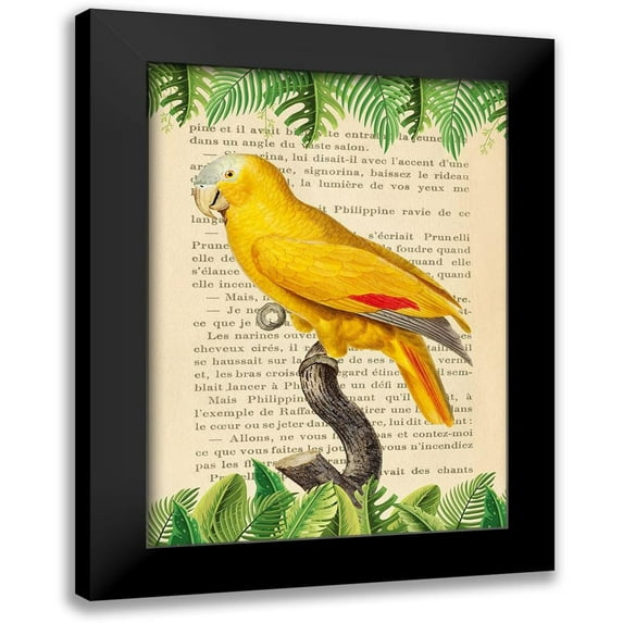 Lamanche, Stef 14x18 Black Modern Framed Museum Art Print Titled - The Blue-Fronted Parrot- After Levaillant