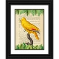 thumbnail image 1 of Lamanche, Stef 18x24 Black Ornate Wood Framed with Double Matting Museum Art Print Titled - The Blue-Fronted Parrot- After Levaillant, 1 of 4