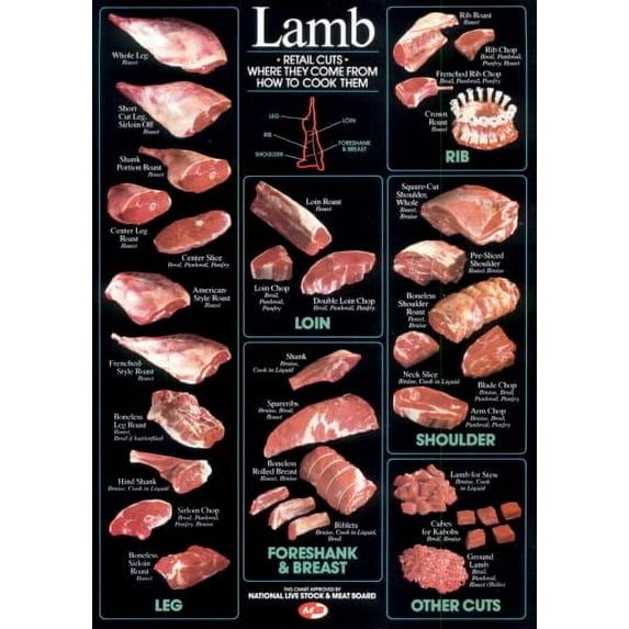 Lamb Cuts Cuts Of Meat Chart Poster 16in x 24in 16x24 Multi-Color Square Adults Best Posters