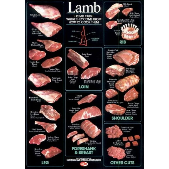 Lamb Cuts Cuts Of Meat Chart Poster Metal Sign 8Inx 12In Metal Print 8x12 Square Adults Best Posters
