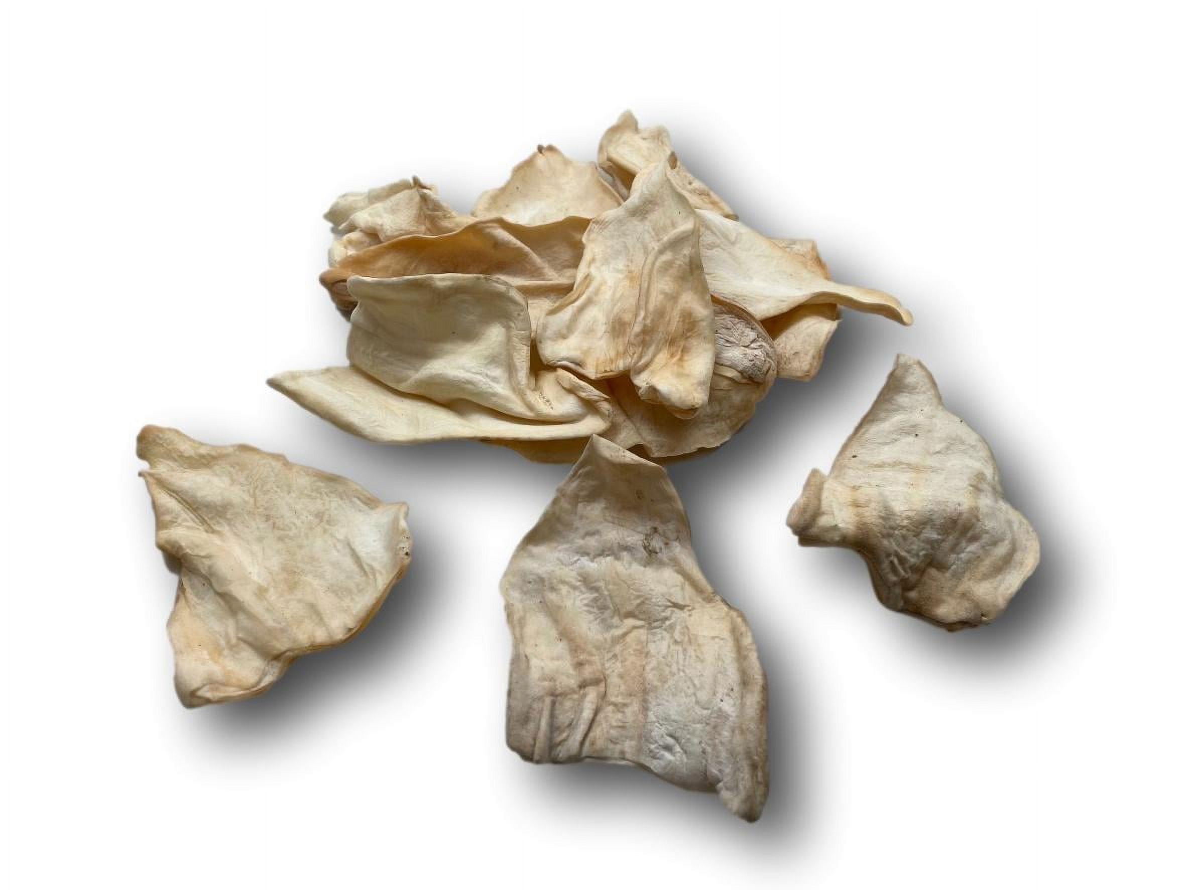 Lamb Ear Dog Treats - All Natural 50 Pack
