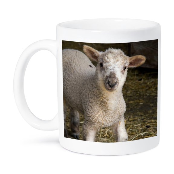 Lamb On A Farm In Lenawee County, Michigan - Us23 Dfr0116 - David R. Frazier, 15oz Mug