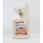 Lambda 9.7 CS 32oz