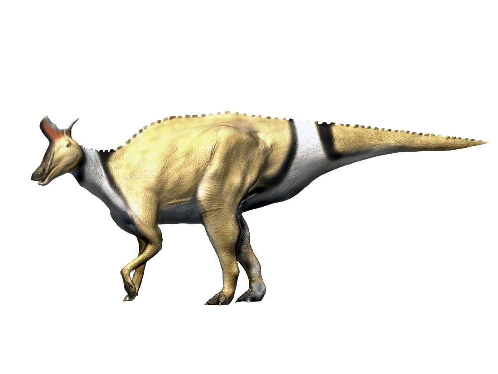 Lambeosaurus dinosaur Canvas Art - Nobumichi TamuraStocktrek Images (17 x 13)