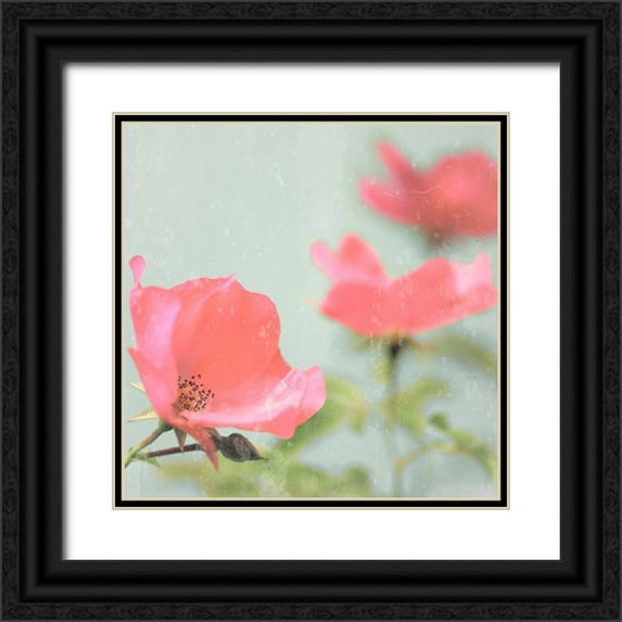 Lambert, Tom 12x12 Black Ornate Wood Framed with Double Matting Museum Art Print Titled - Botanical Romance