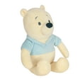 thumbnail image 1 of Lambs & Ivy Disney Baby Cozy Friends Winnie the Pooh Plush Stuffed Animal Toy, 1 of 5
