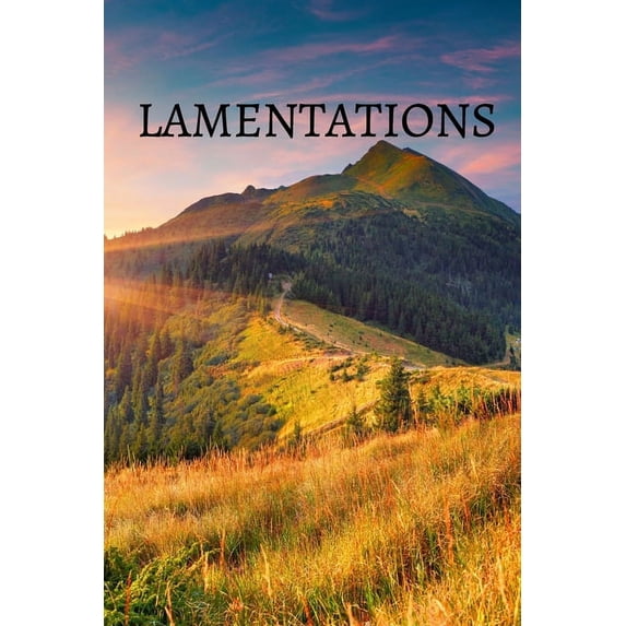 Lamentations Bible Journal (Paperback)
