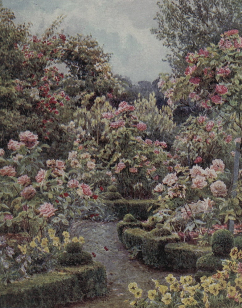 Lamias Winter-quarters 1907 Everywhere are roses roses Canvas Art - George S Elgood (24 x 36)