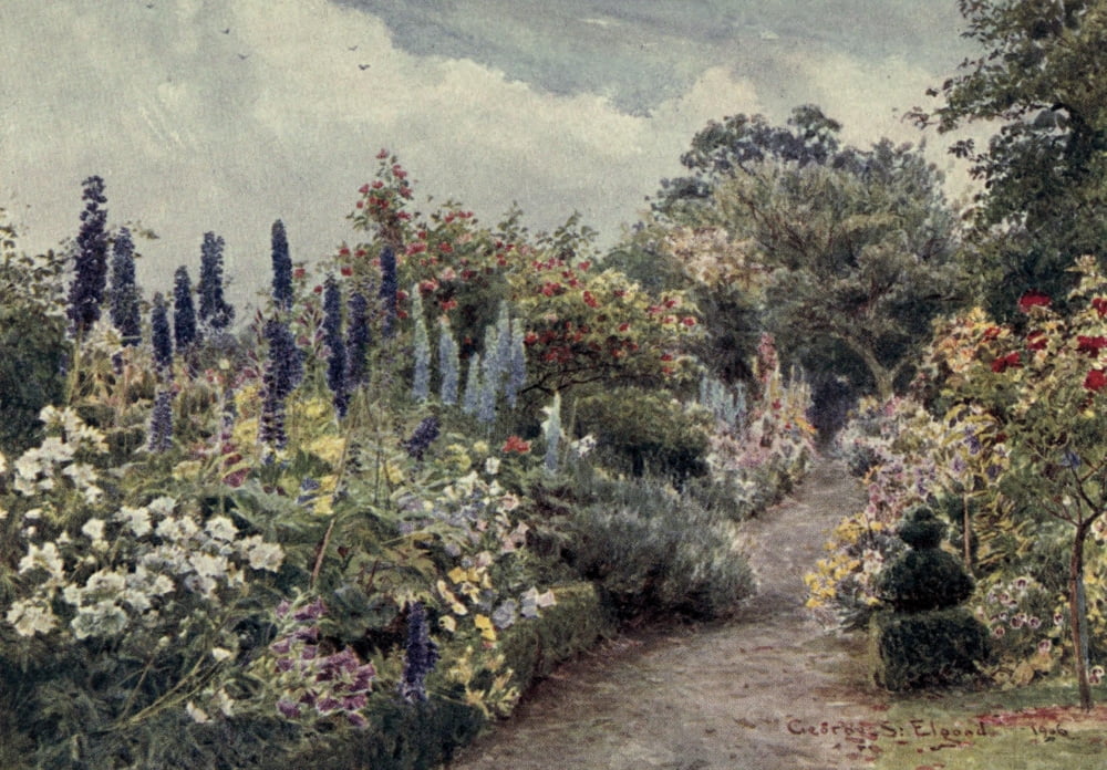 Lamias Winter-quarters 1907 Larkspurs Canvas Art - George S Elgood (18 x 24)
