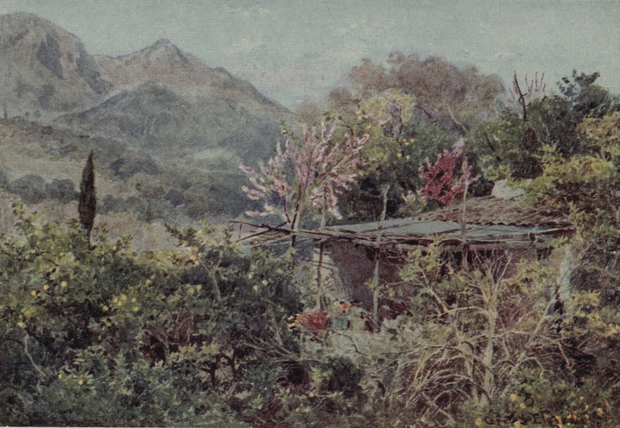 Lamias Winter-quarters 1907 Orange Grove Mentone Canvas Art - George S Elgood (24 x 36)