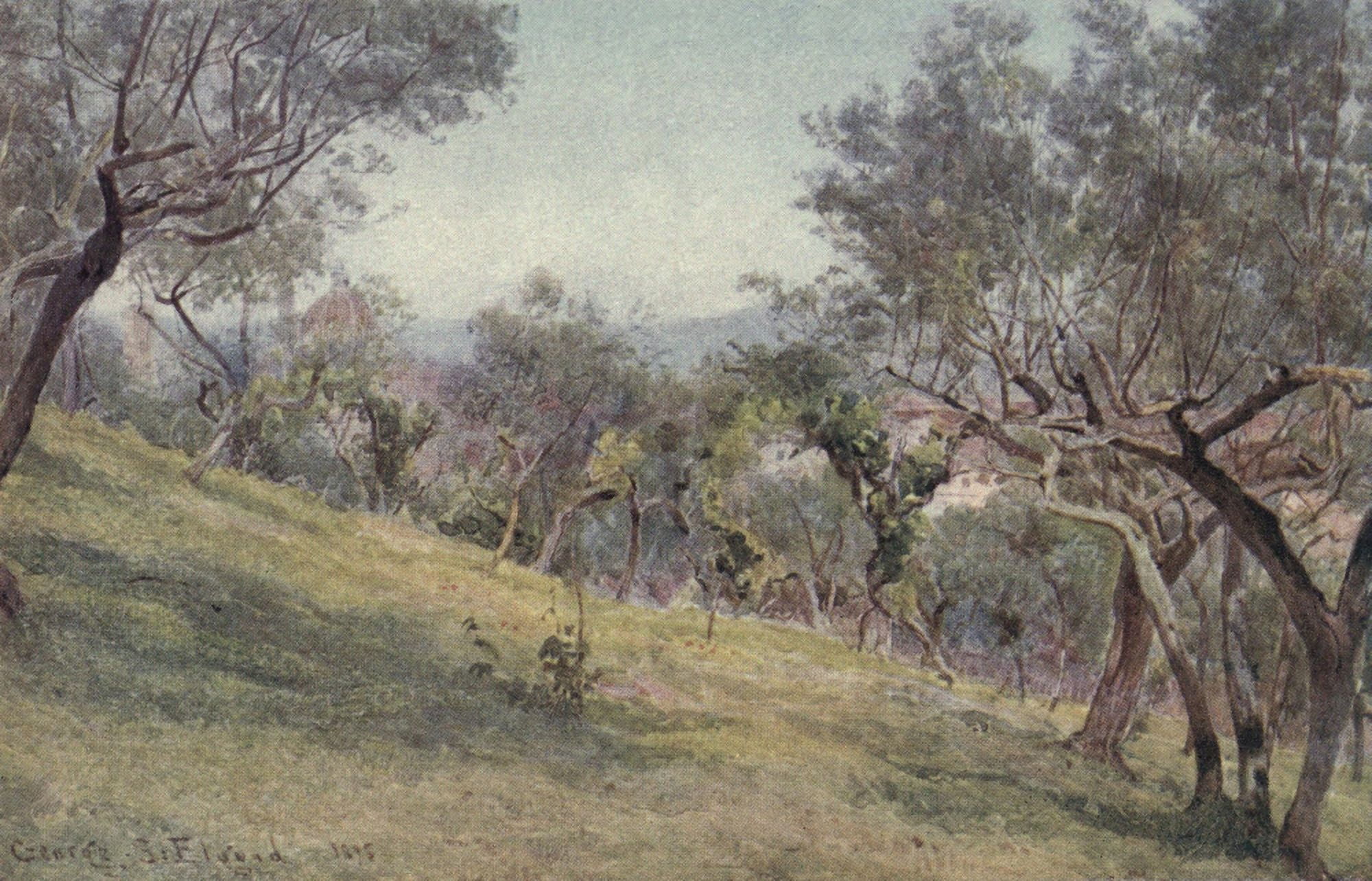 Lamias Winter-quarters 1907 Through the olives Florence Canvas Art - George S Elgood (18 x 24)