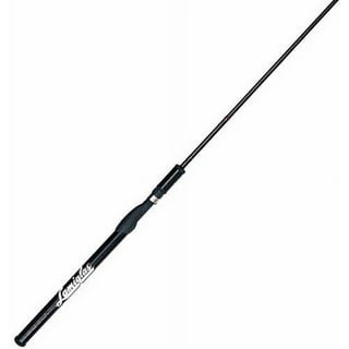 Fishing Rods & Poles Fishing & Boating Clearance in Sports