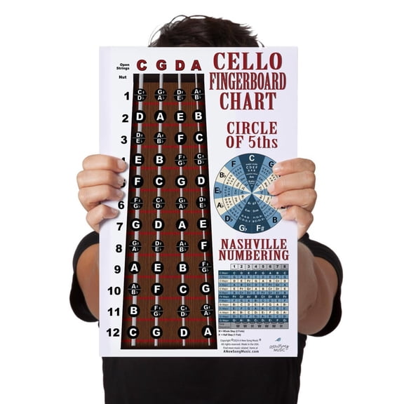 Laminated Cello Fingerboard Poster  Nashville Numbers & Circle of 5ths Charts