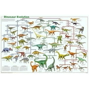 Laminated Dinosaur Evolution Poster 24x36