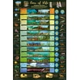 Laminated Eras of Life Geological Time Scale Educational Science Chart
