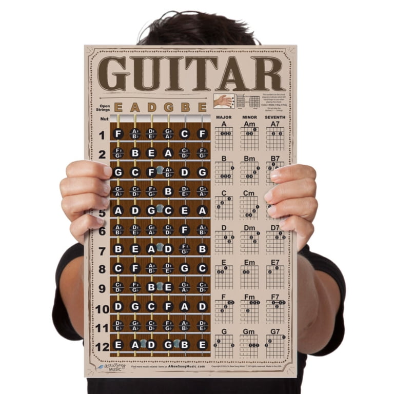 Mandolin Fretboard And Chord Chart Instructional Poster Fingering Chart