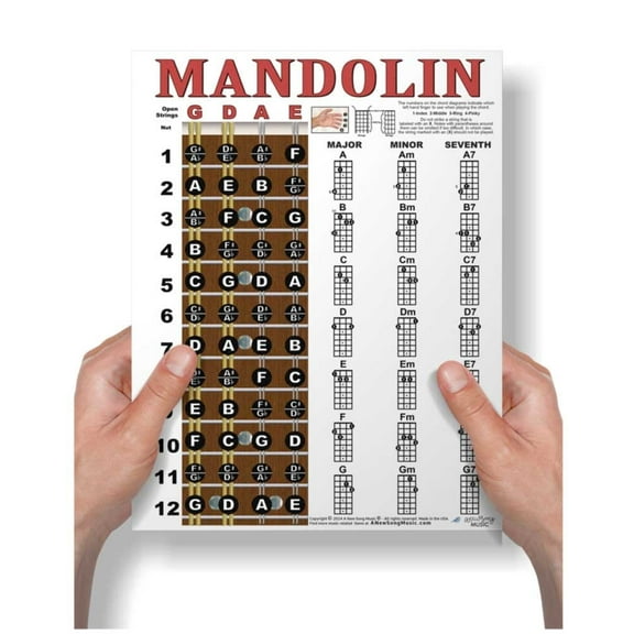 Laminated Mandolin Chords and Fretboard Notes Poster, 8.5x11 A New Song Music