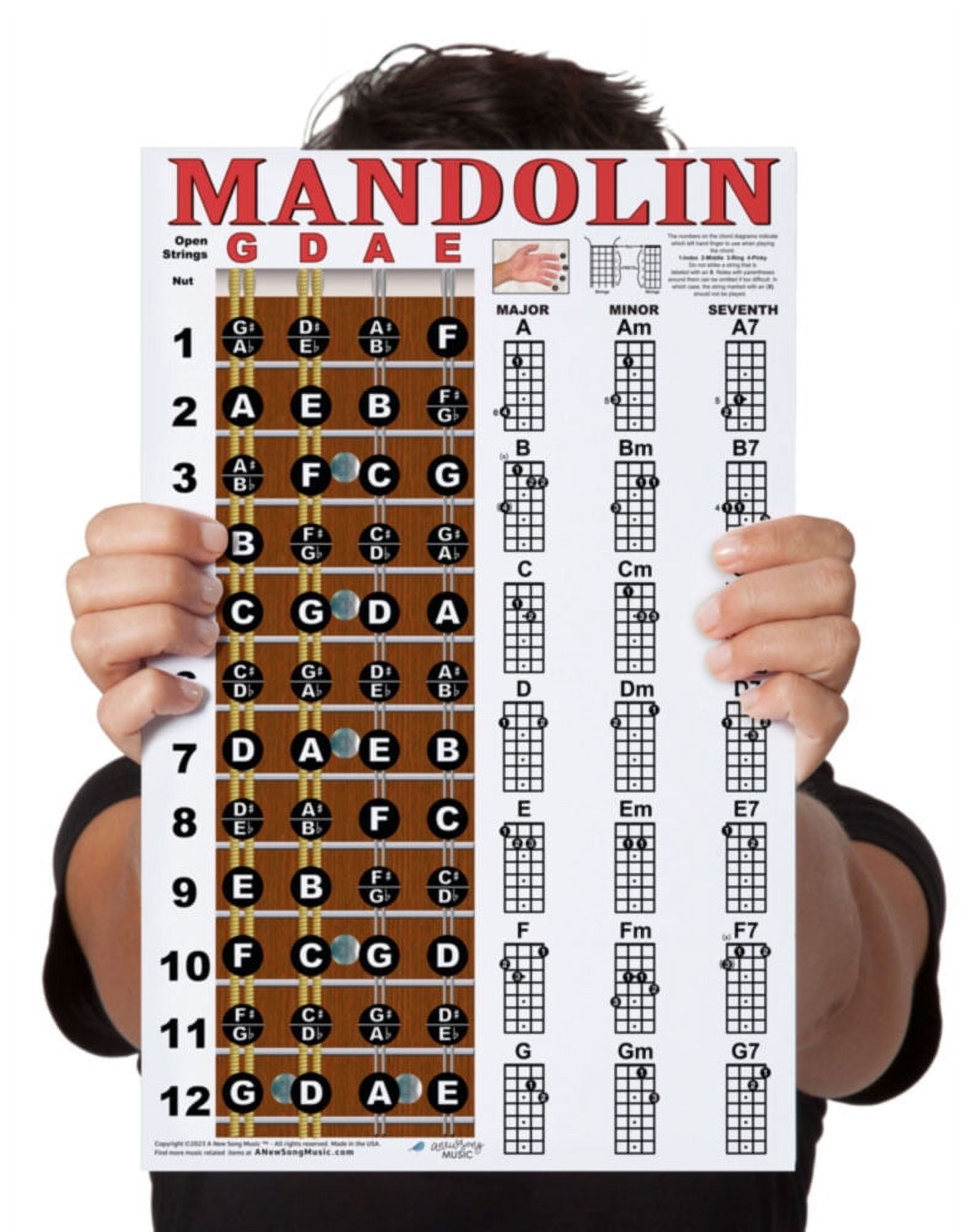 Mandolin Chord Chart, image size:1584x2000