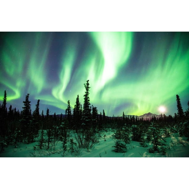 Laminated Northern Lights or Aurora Borealis Alaska Photo Photograph