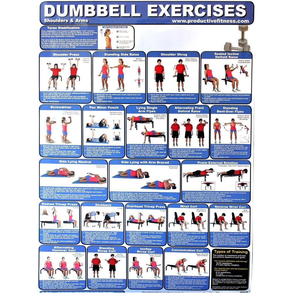 Poster Whole Body Dumbbell Workout Pdf Printable Full Body