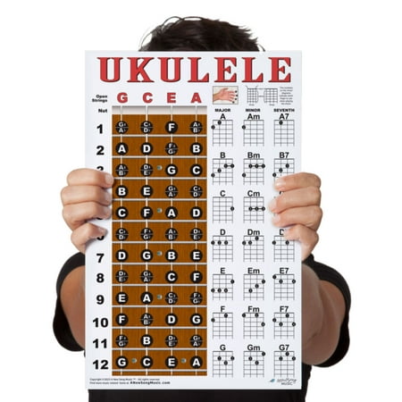 Laminated Ukulele Chord & Fretboard Note Chart - 11"x17" Easy Instructional Poster for Beginners - Chords & Notes - A New Song Music