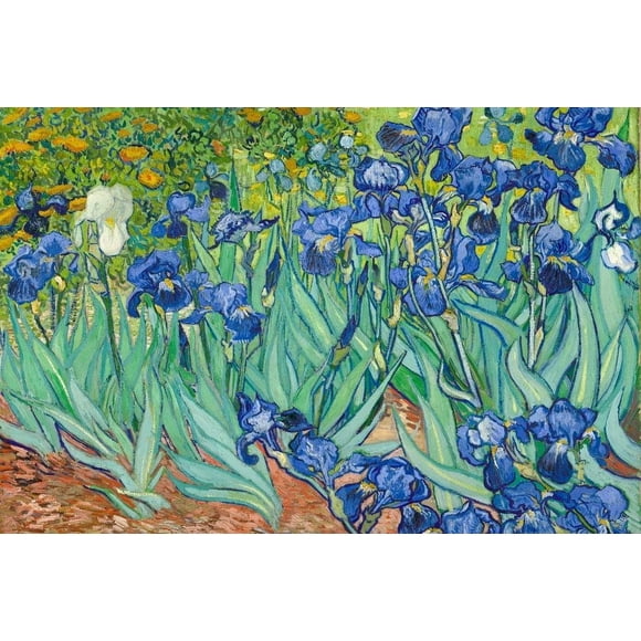 Laminated Vincent Van Gogh Irises Flower Poster 1890 Dutch Post Impressionist Landscape Painting Nature Poster Dry Erase Wall Art