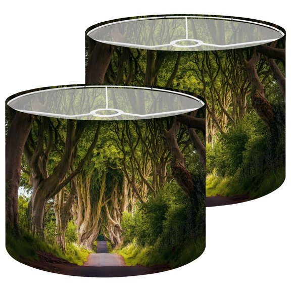 Lamp Shades Set of 2 Dark Hedges Northern Ireland sunset 13" x 13" x 10" Lampshade for Table Lamps Floor Lamps Lamp Shade Replacement Easy Assembly Required