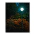 thumbnail image 1 of Lamp in Delaware Park, Buffalo - Buffalo New York Photography Autumn Garden Woods Moody Nature Unframed Wall Art Print 18 x 24 inches, 1 of 13