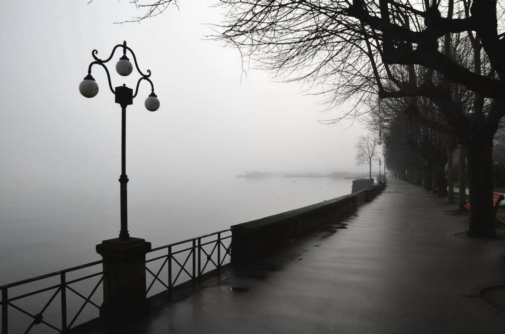 Lamp post and trees on a promenade along Lake Maggiore Locarno Ticino Switzerland Canvas Art - Mats Silvan Design Pics (19 x 12)