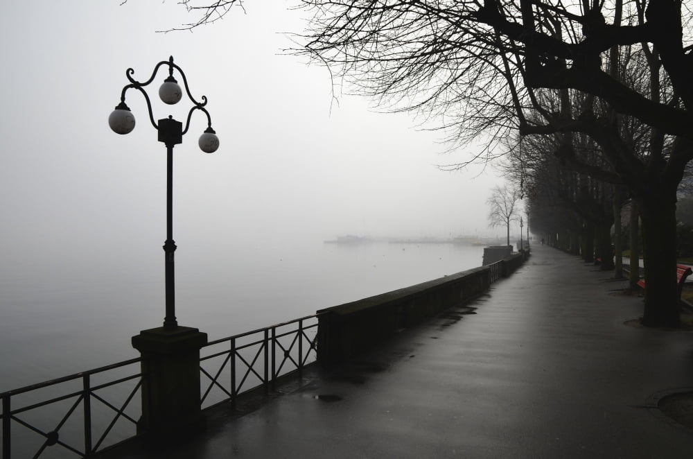 Lamp post and trees on a promenade along Lake Maggiore Locarno Ticino Switzerland Canvas Art - Mats Silvan Design Pics (38 x 24)